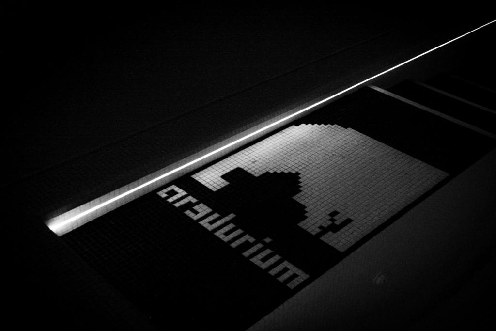 Arsdurium Douro Hotel Cinfães Esterno foto