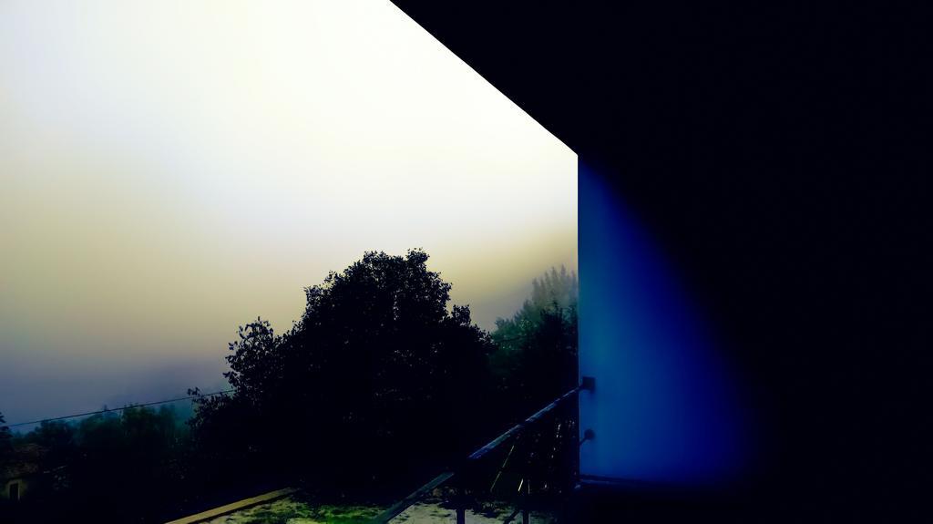 Arsdurium Douro Hotel Cinfães Esterno foto